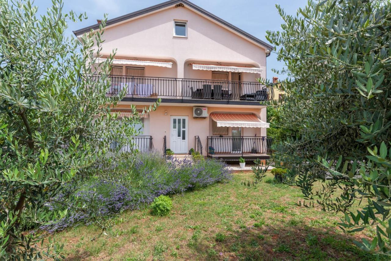 Apartment Masha Novigrad  Bagian luar foto